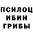Галлюциногенные грибы Psilocybe Restyling