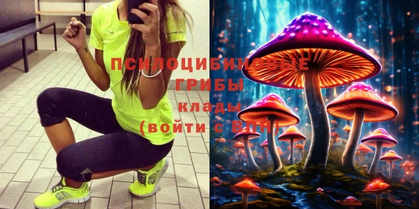 apvp Гусь-Хрустальный