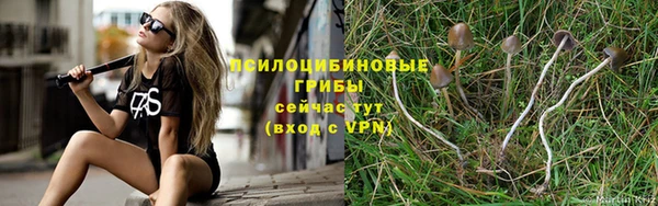 jwh Гусиноозёрск